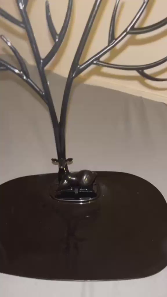 Vidéo